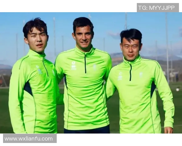 打造冠军之路：解析球队管理、战术创新与球员成长的成功秘诀