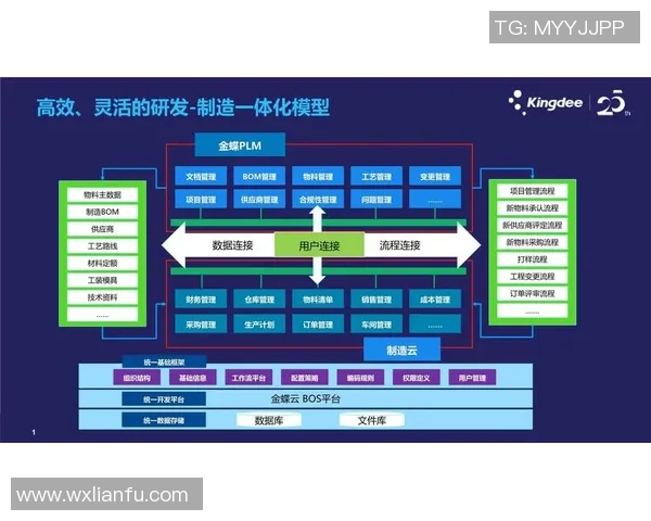 税务管理创新与数字化转型对企业合规性和税负优化的影响研究
